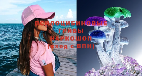 гидропоника Баксан