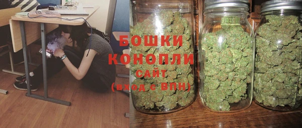ГАЛЛЮЦИНОГЕННЫЕ ГРИБЫ Беломорск