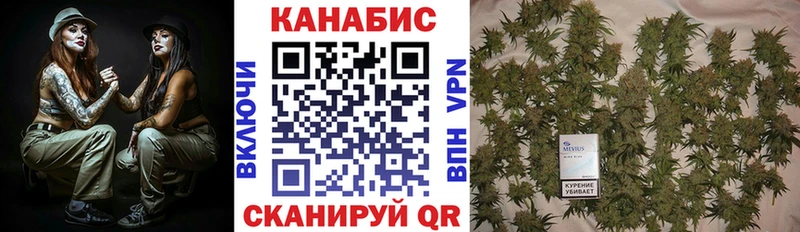 Бошки марихуана THC 21%  Малмыж 